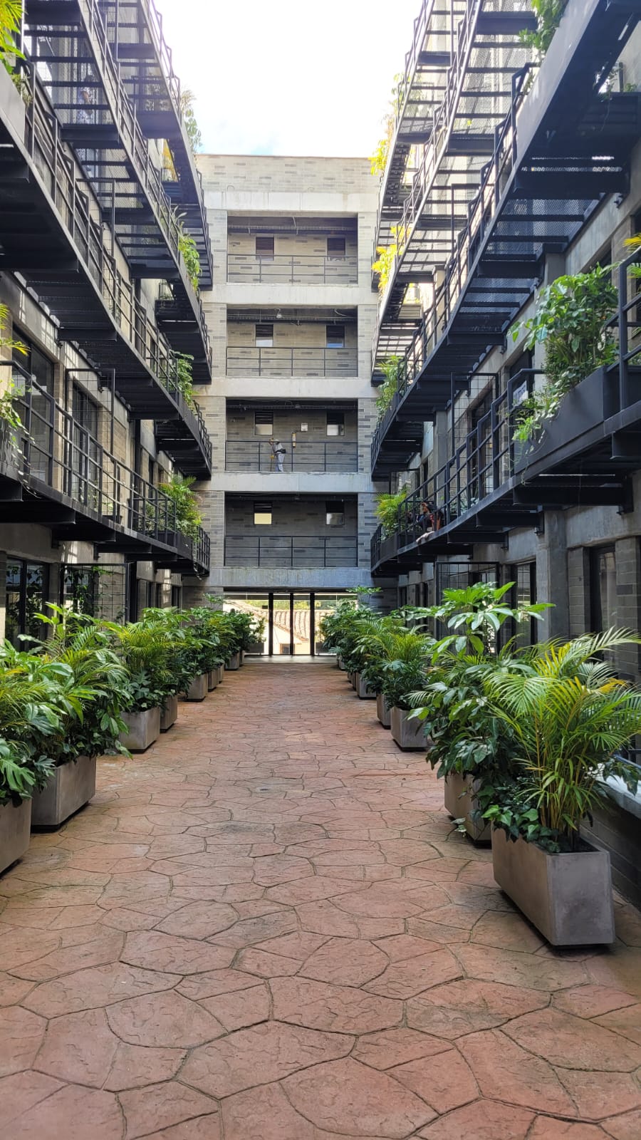 Imagen de Apartamento 7