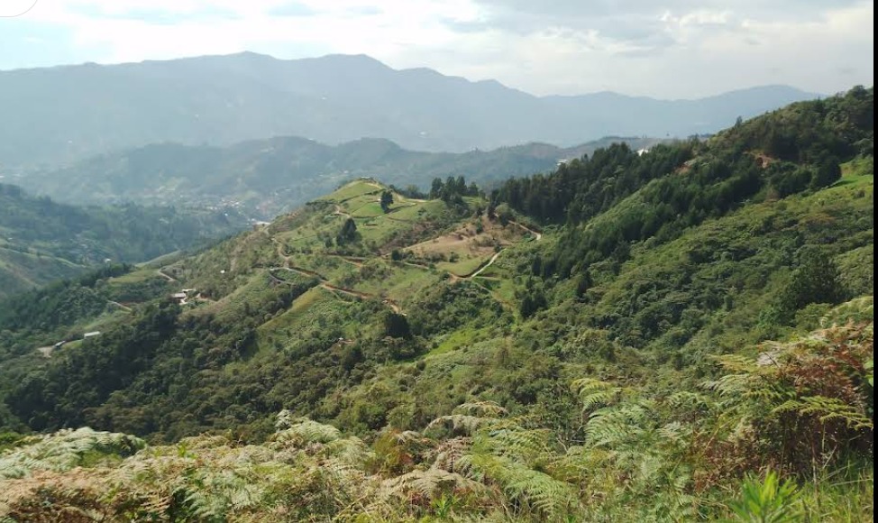 Lote en Venta en LA MIEL Imagen de lote 1