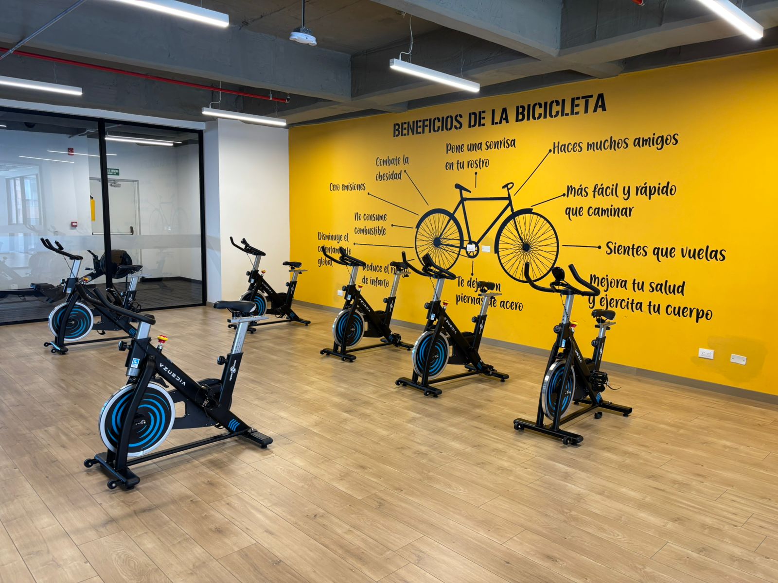 Imagen de apartamento 1