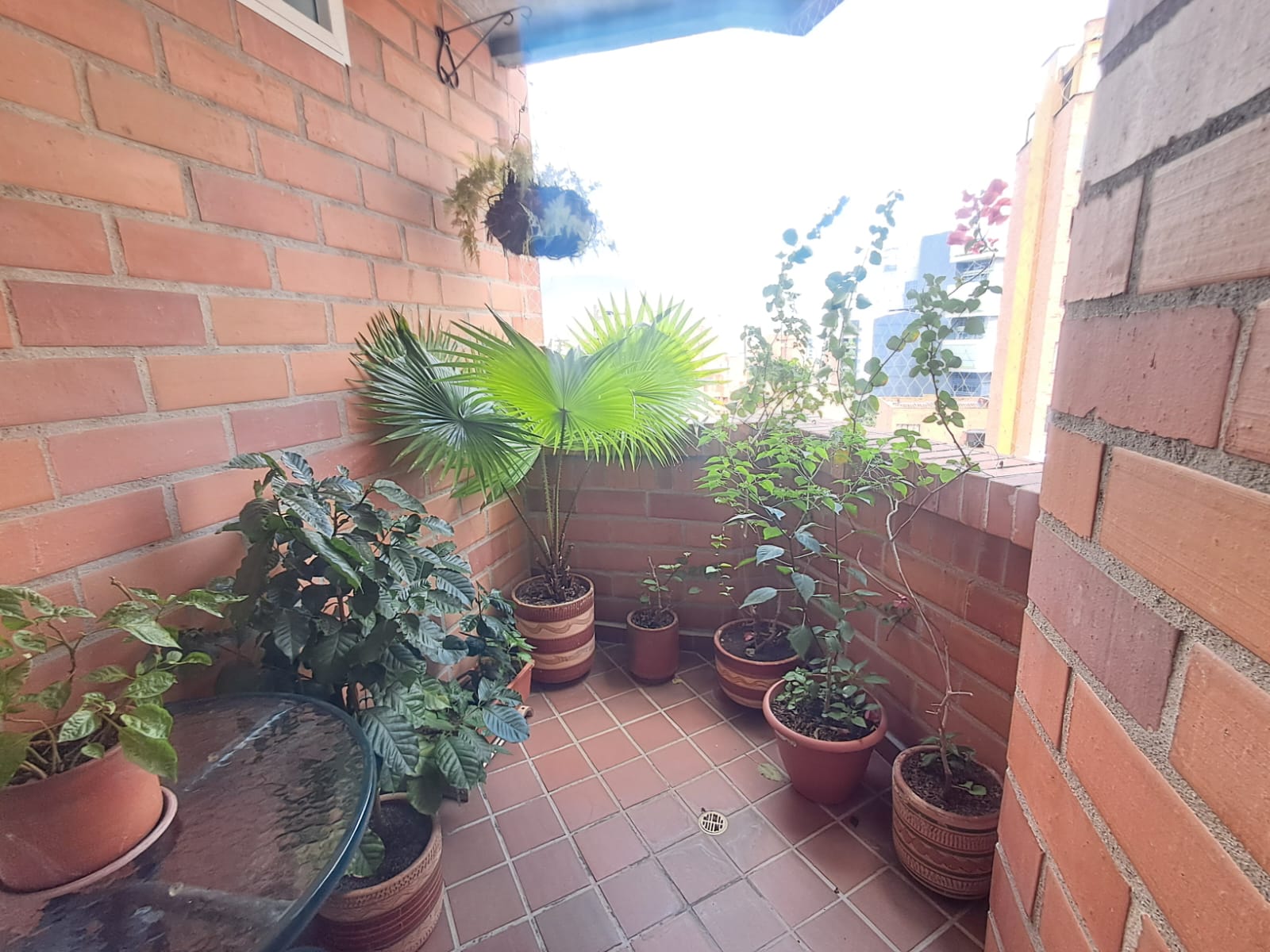 Imagen de Apartamento 7