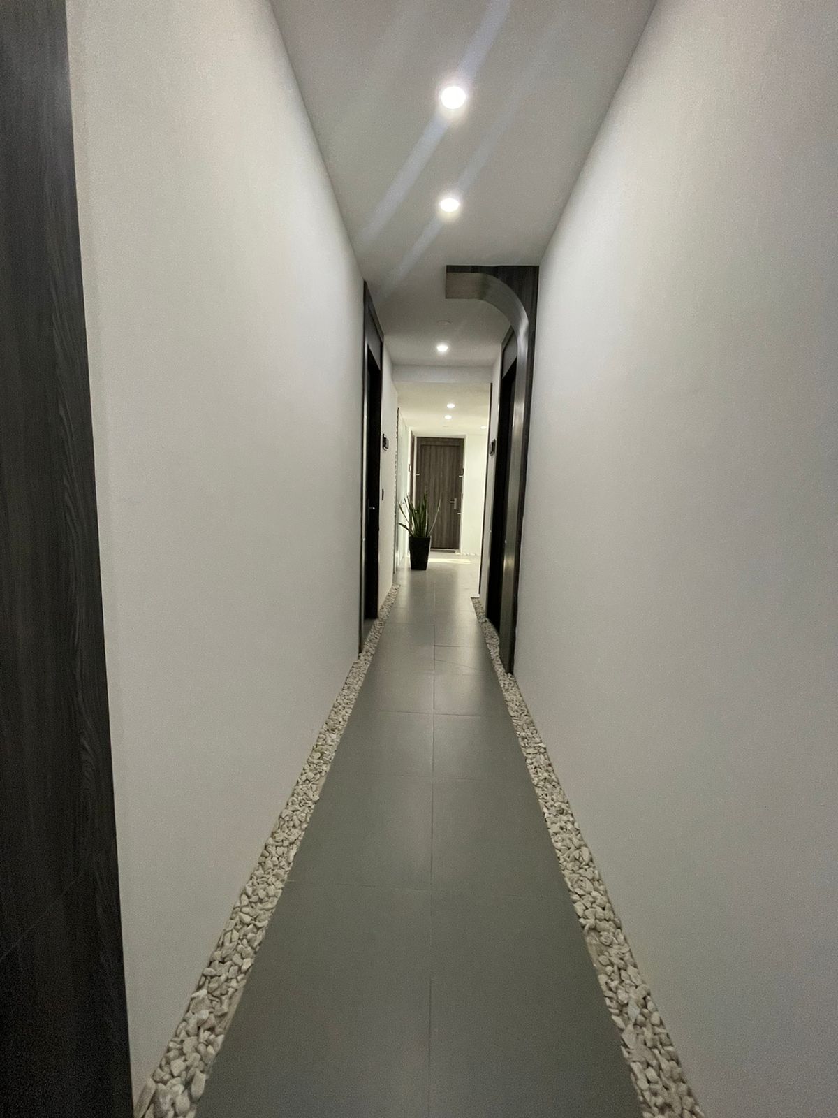 Imagen de Apartamento 8