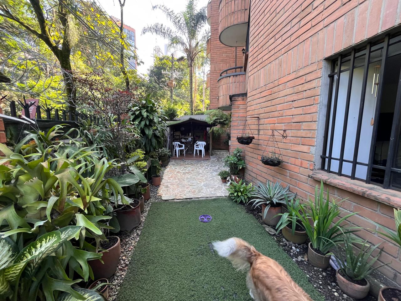 Imagen de Apartamento 8