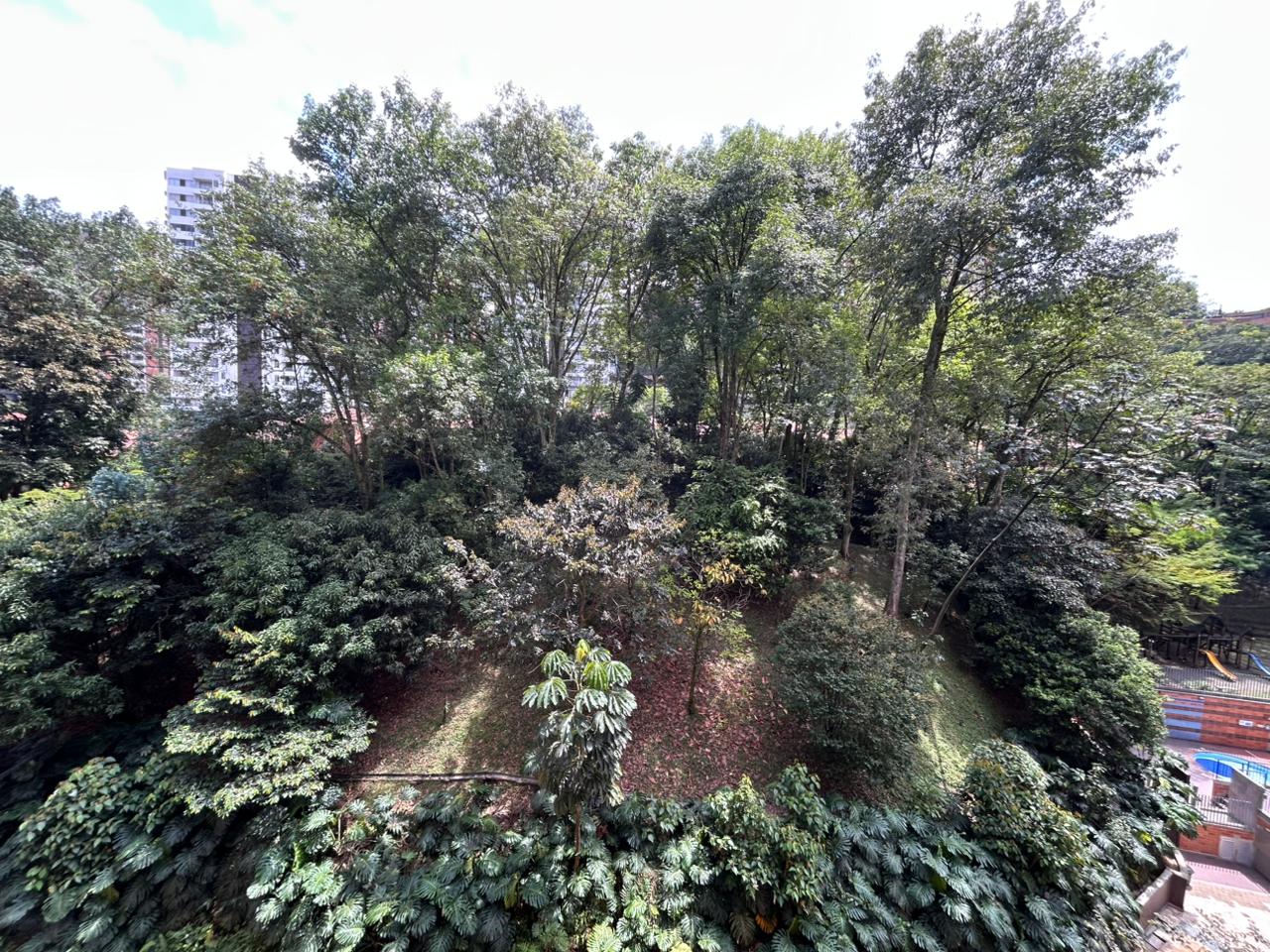 Imagen de Apartamento