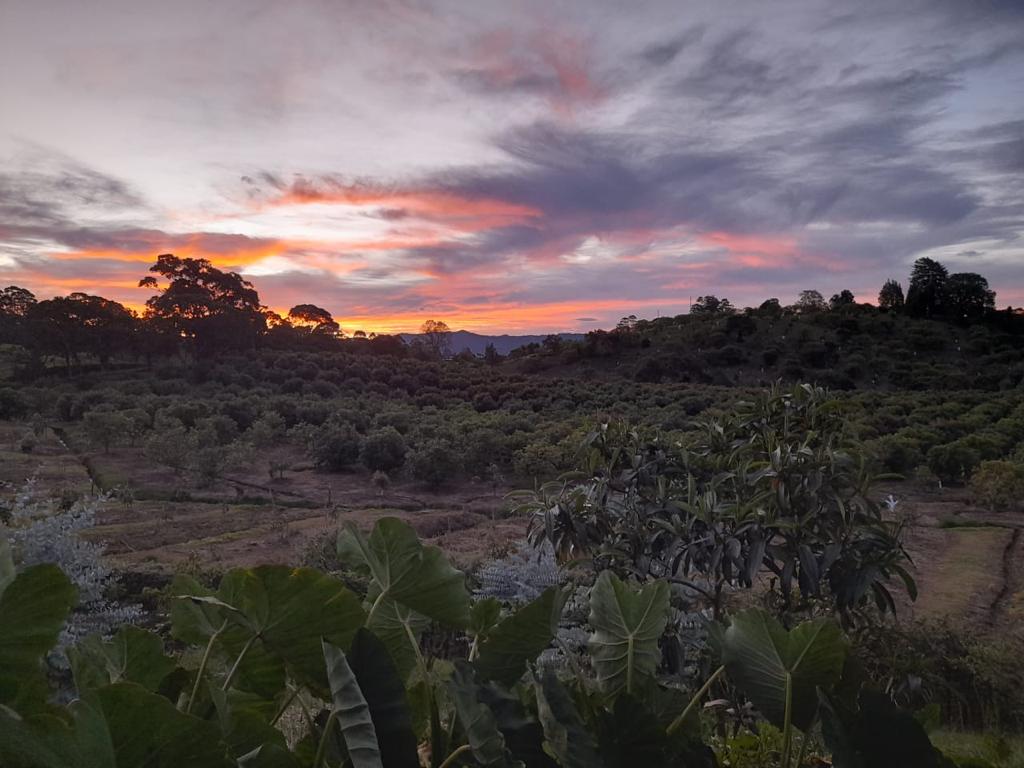 Imagen de Casa finca 8