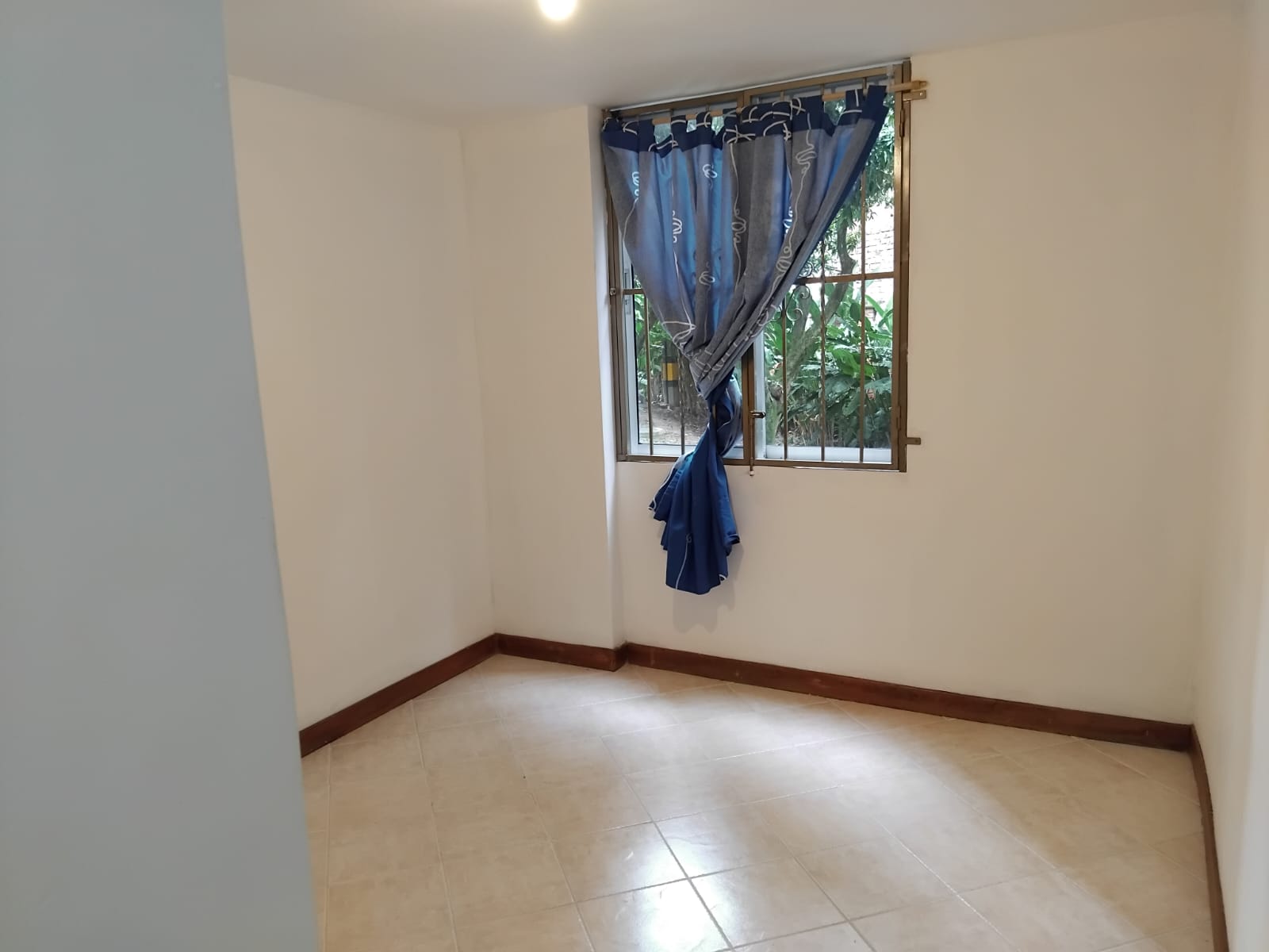 Imagen de Apartamento 11