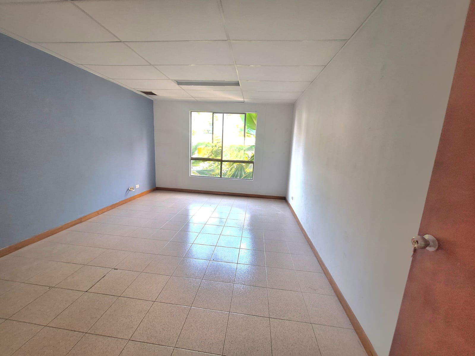 Imagen de Oficina 5