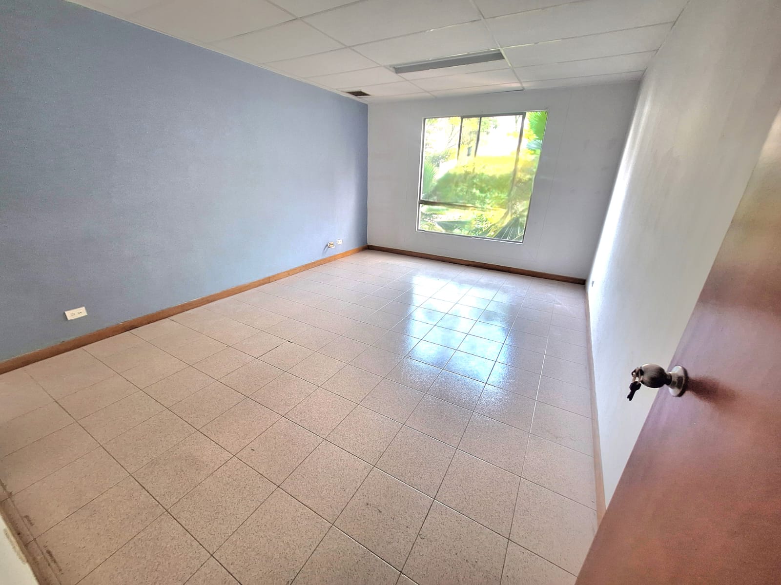 Imagen de Oficina 8