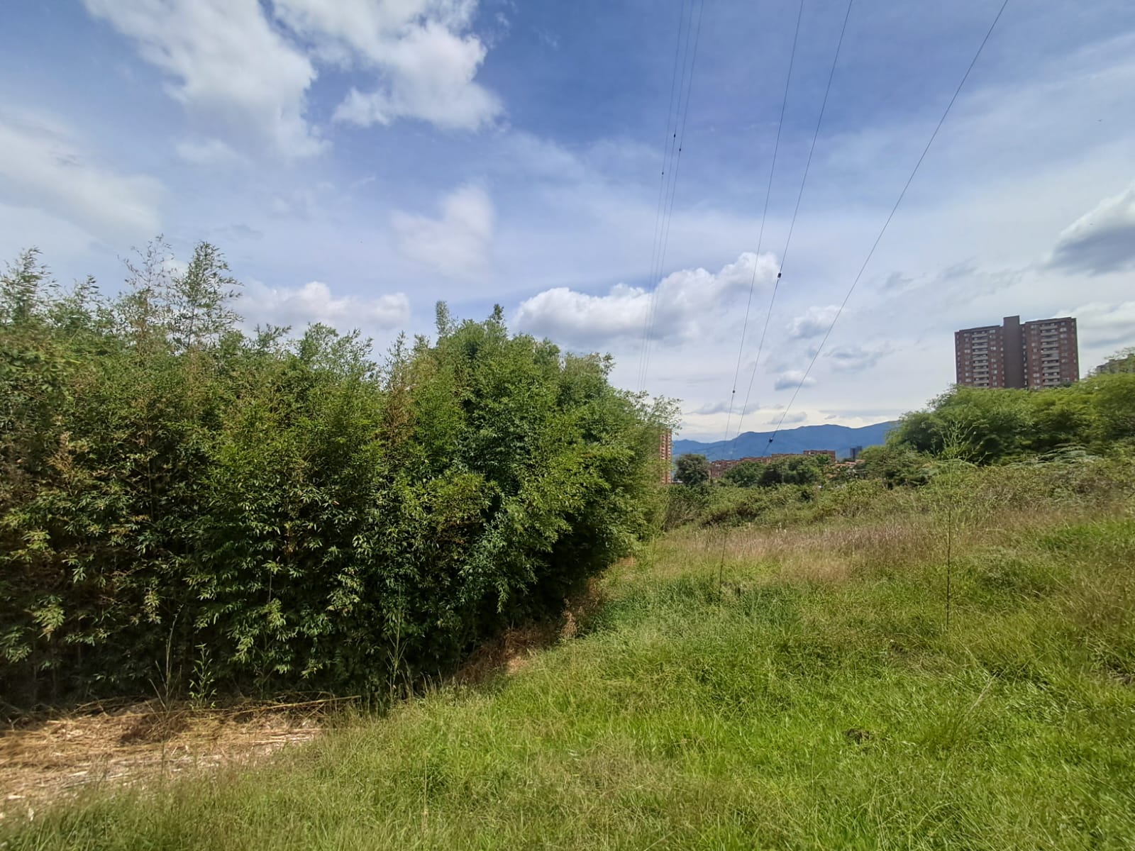 Lote en Venta en ROBLEDO Imagen de Lote 18