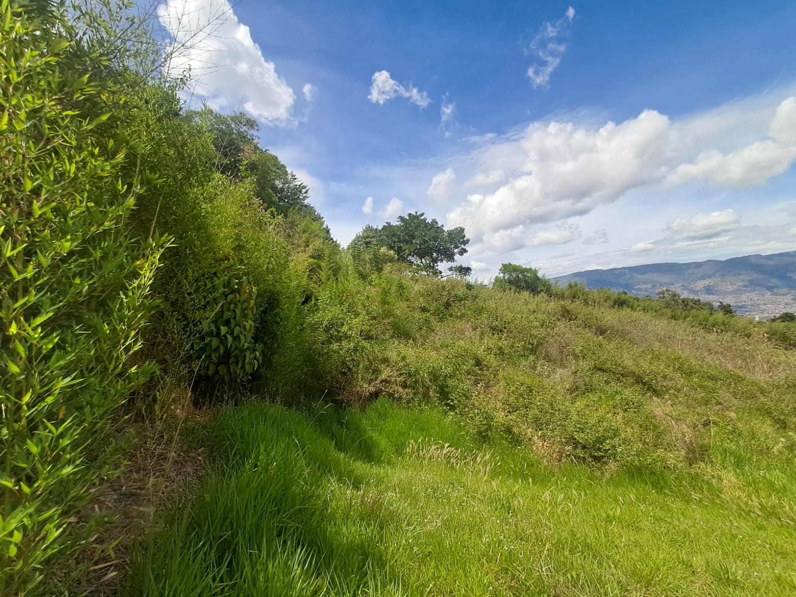 Lote en Venta en ROBLEDO Imagen de Lote 17