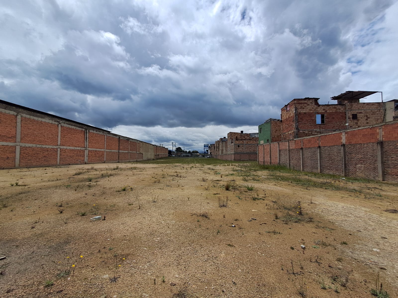 Imagen de Lote 5