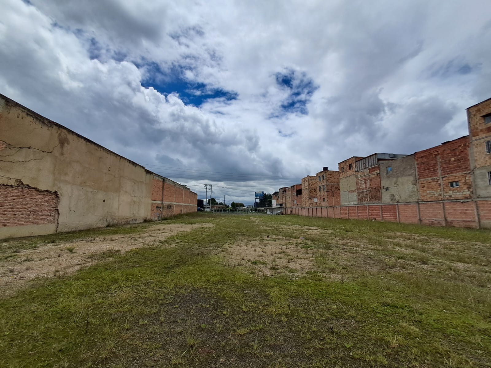 Imagen de Lote 8