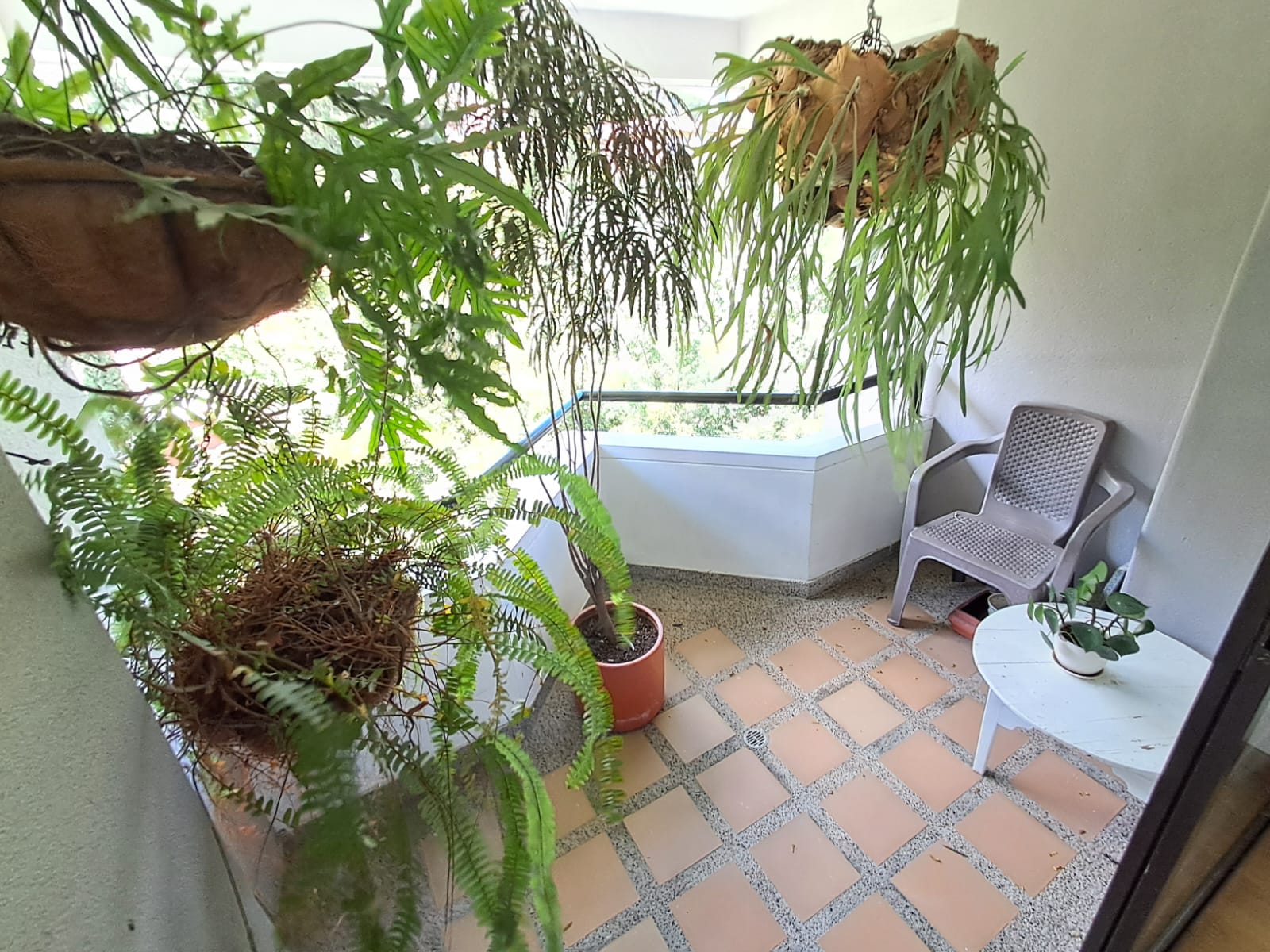 Apartamento en Arriendo en EL TESORO Imagen de Apartamento 5