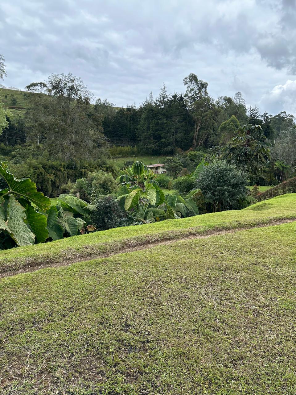 Lote en Venta en PANTANILLO Imagen de Lote 27