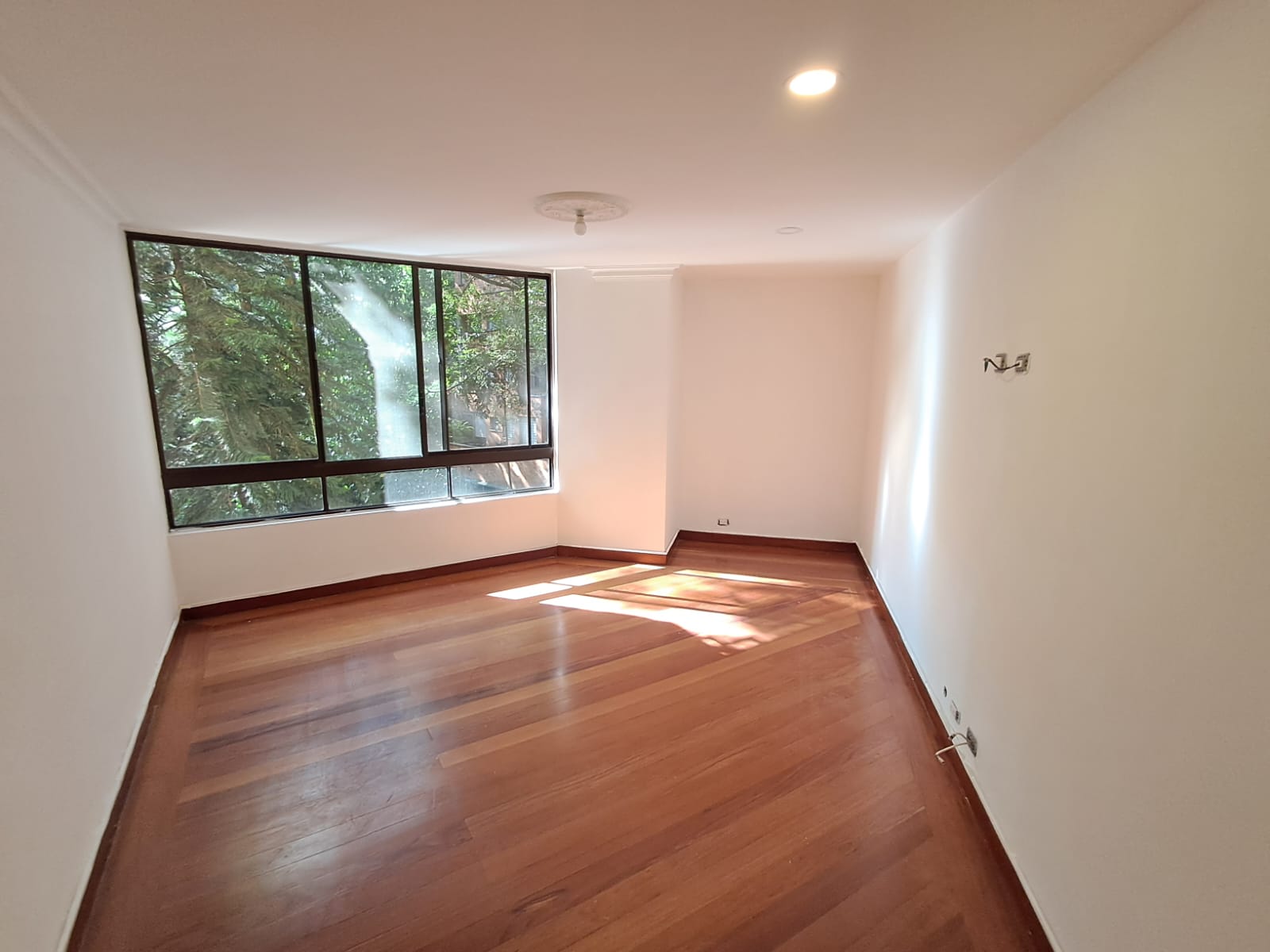Imagen de Apartamento 15