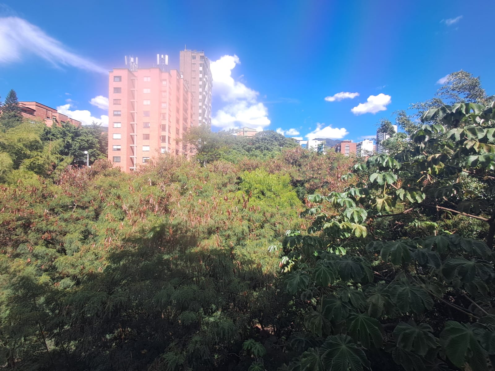Consultorio en Arriendo en EL POBLADO Imagen de Consultorio 16