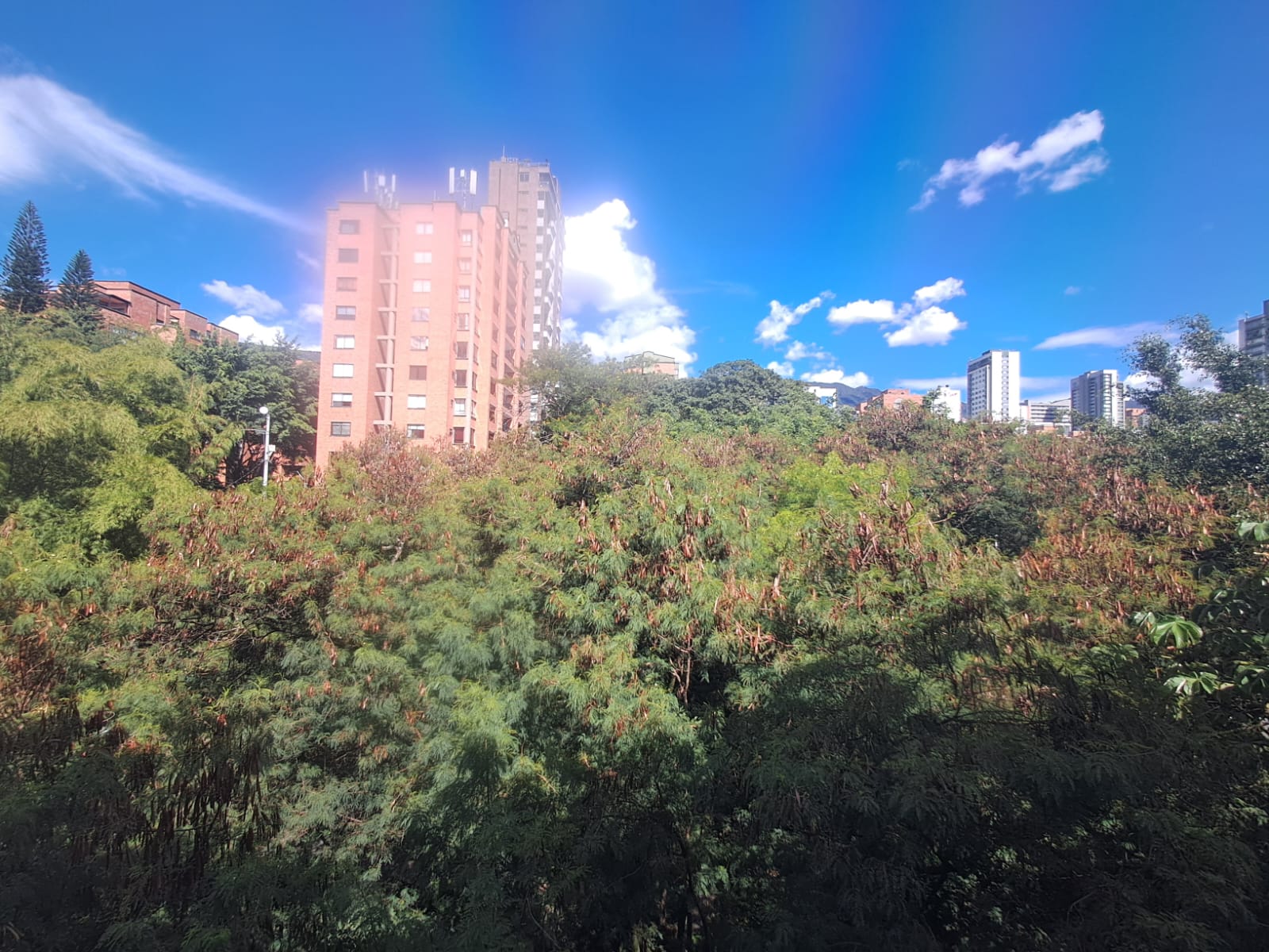 Consultorio en Arriendo en EL POBLADO Imagen de Consultorio 8