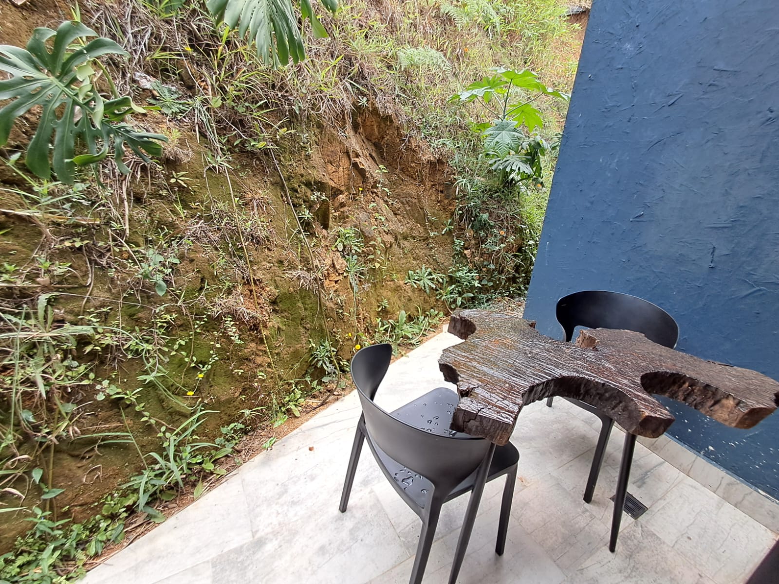 Casa finca en Arriendo en - Imagen de Casa finca 12