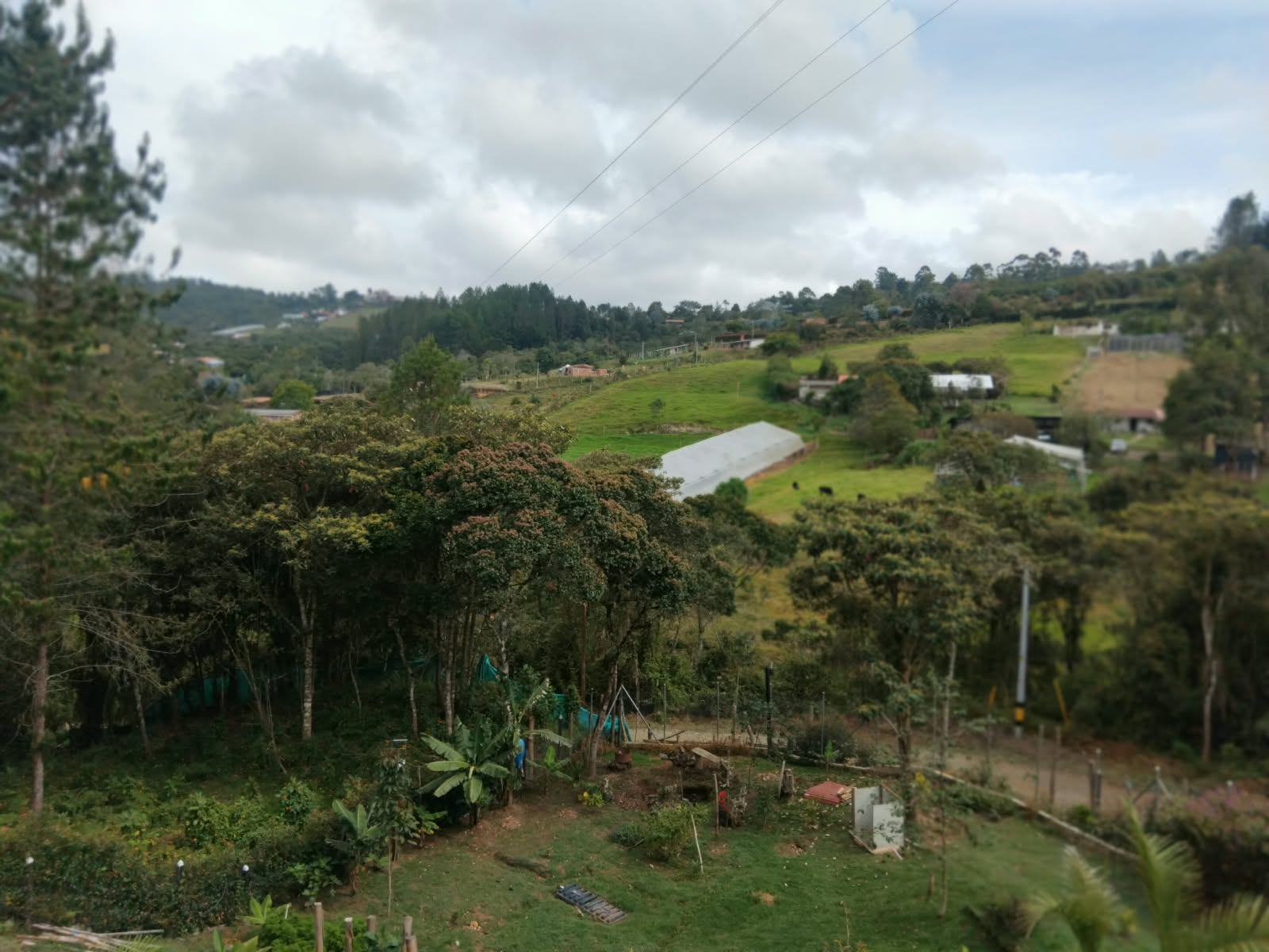Imagen de Casa finca