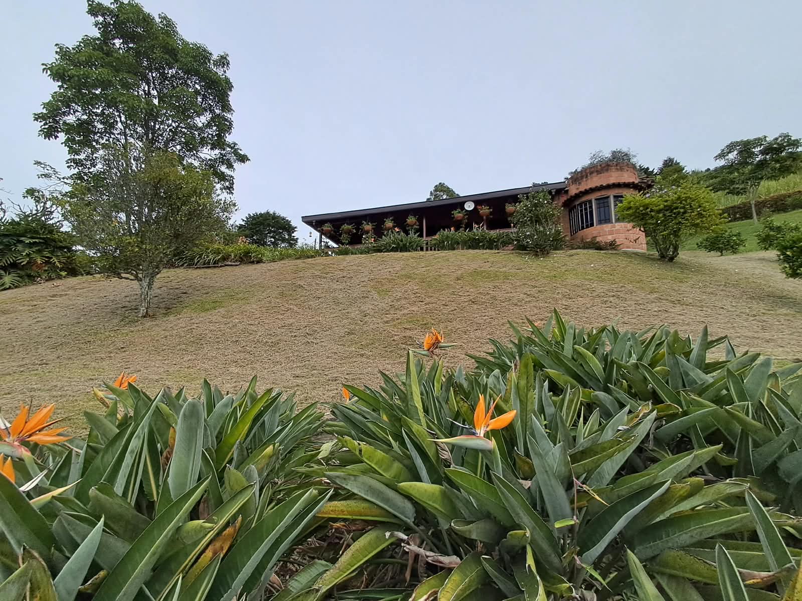 Imagen de Casa finca en Antioquia, MEDELLÍN, AGUAS FRIAS Imagen de Casa finca en Antioquia, MEDELLÍN, AGUAS FRIAS