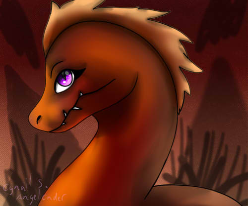 Amber headshot Raptor