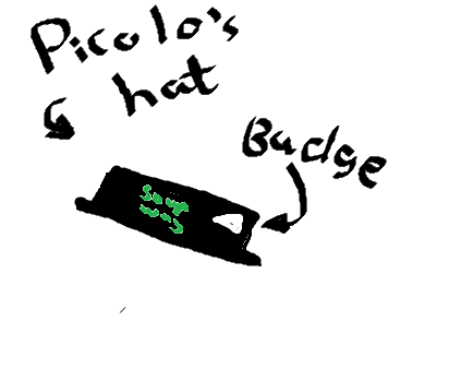Picolo's Hat
