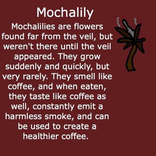 Mochalily