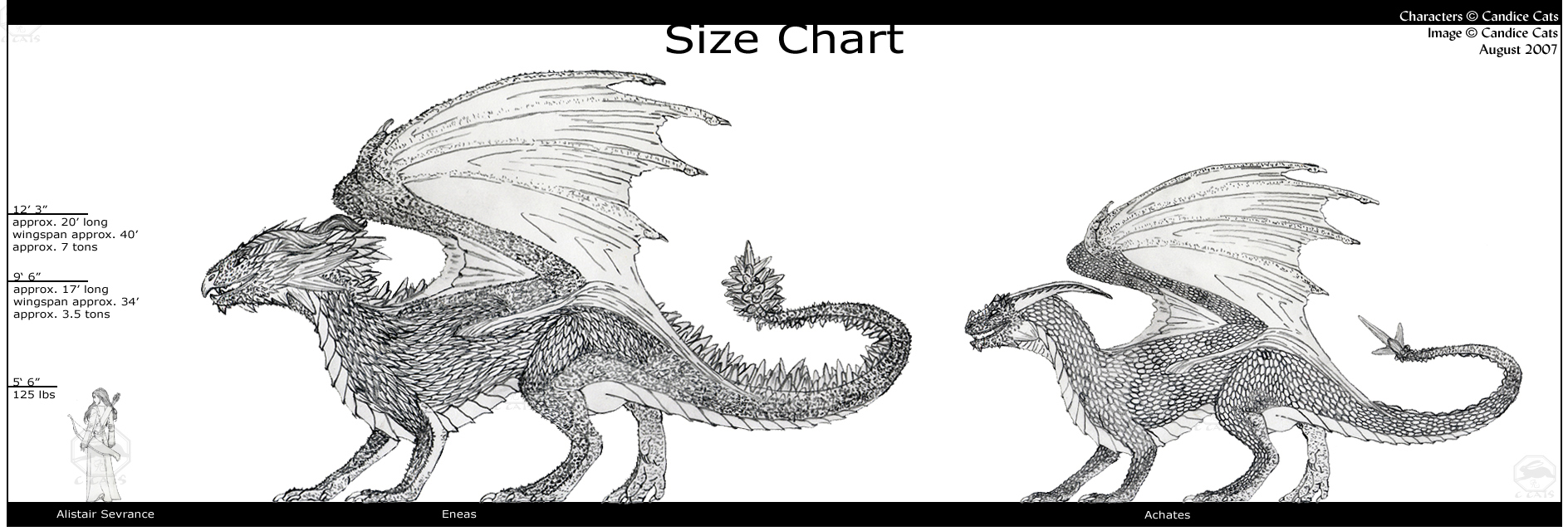 size-chart