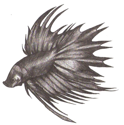 betta fish tattoo drawing