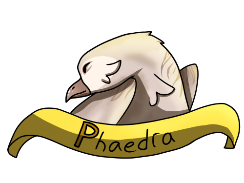 Phaedra - HS