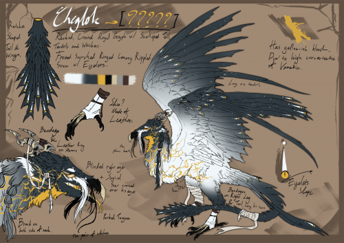 [DS Reference Sheet]Cheglok