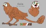 Coin Ref Sheet