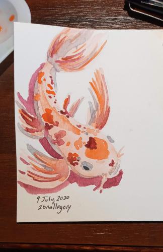 Koi