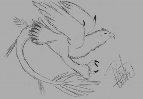 Simple Bird Sketch