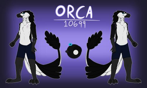 Orca Anthro Ref