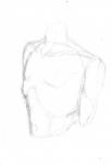 male torso study