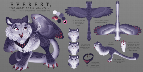 Everest Reference Sheet