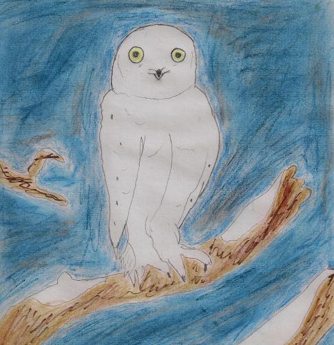 Snowly the Snow Owl