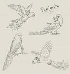 Peninah Sketches