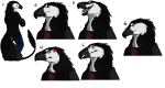 Orca Sprites