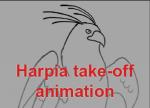 Harpia Take-off animation