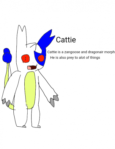 Cattie