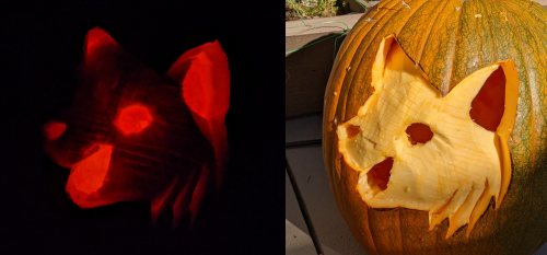 GH: Pumpkin Carving