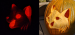 [Art] GH: Pumpkin Carving