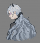 Elwize Hair Ref