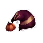 {GH} Pumpkin Snatch Week IV - Cinsaut