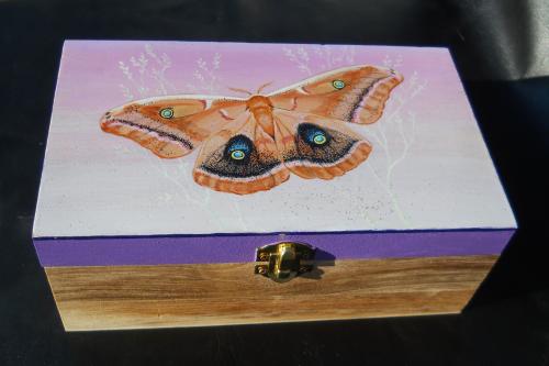 Polyphemus Moth on Wooden Box