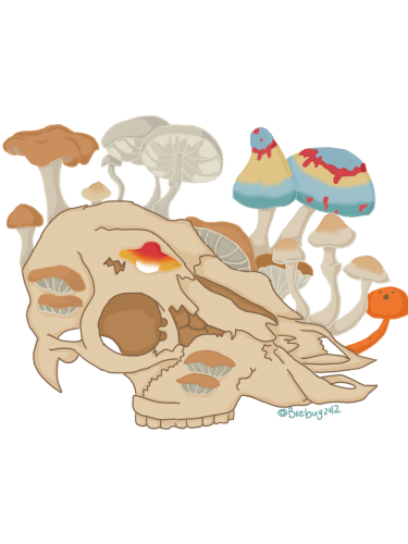 Skull and Mushrooms