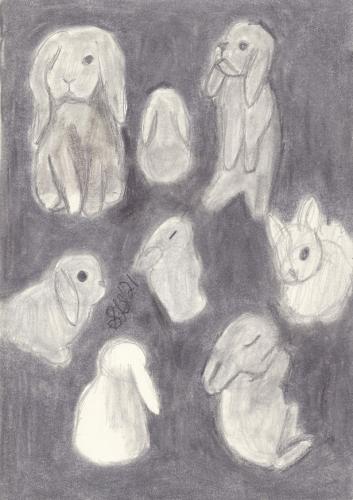 Bunny Doodles