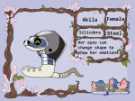 [PKMN CRATER] Akila