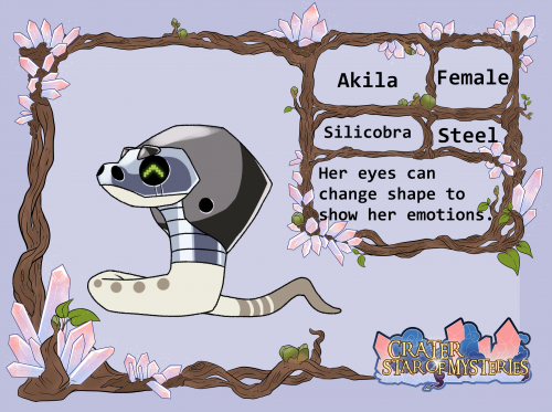 [PKMN CRATER] Akila